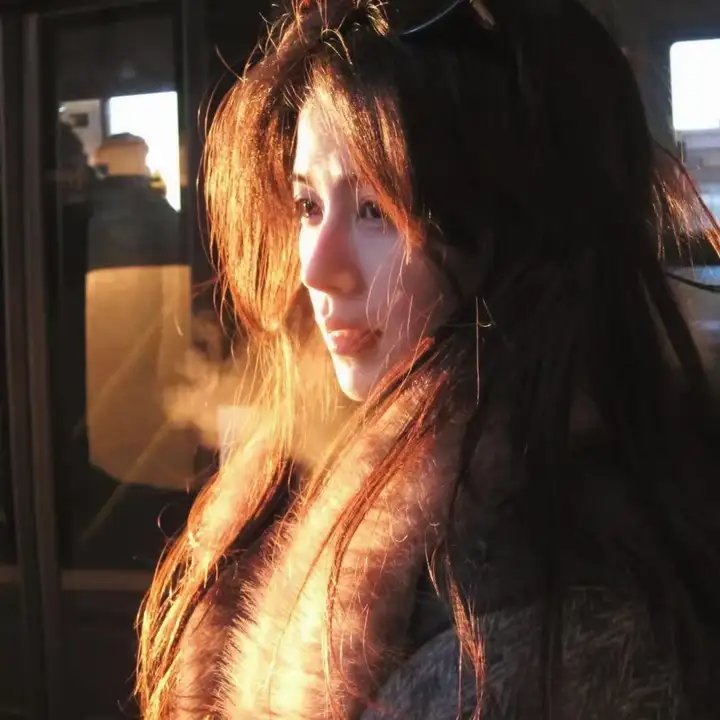 本小姐乃白鸟丽子 电影版