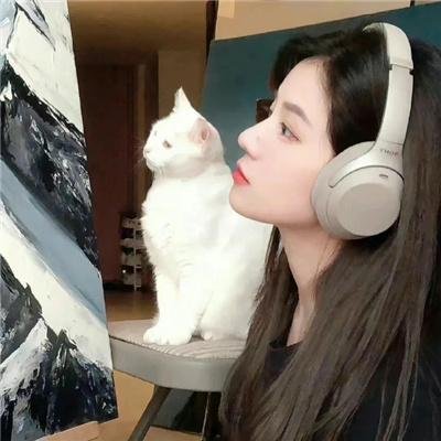 墨少娇妻轻轻宠